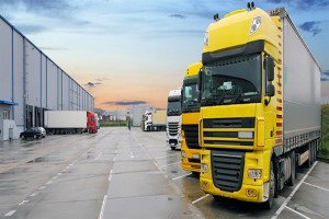 Advanced Logistics and Transportation Techniques in Stock Administration
