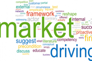 Market-Driving Strategies