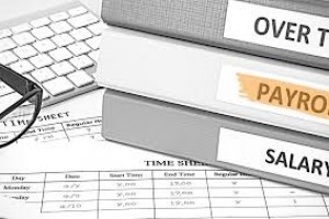 Developing, Analyzing and Managing Payroll Benchmarks and Metrics