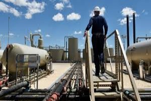 Petroleum Revenue Generation, Treasury and Funds Management in the Oil and Gas Sector