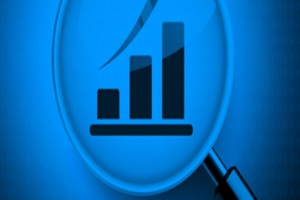 Internal Auditing for Fraud