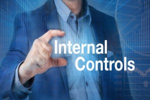 Internal Controls: Guidelines, Concepts and Implementation