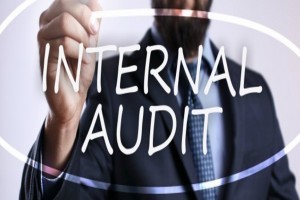 Auditing for Contracts and Procurement