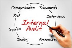 The Effective Auditor: Skills Improvement Course