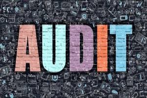 Auditing Organizational Processes And Procedures For Results