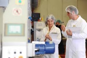Effective Auditing and Inspection Skills