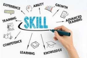 Advanced Professional Audit Skills