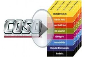 COSO Based Internal Auditing for Results
