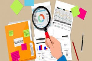 Effective Techniques in Auditing the Finance, Treasury and Accounting Functions