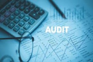 Developing, Improving and Monitoring Corporate Audit Function for Result