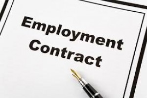 Fundamentals of Employment Contracts