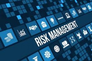 Effective Business Risk Management Strategies for Corporate Organization
