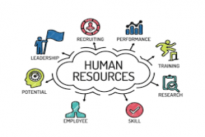 The Essentials of Human Resources Laws