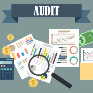 Concept of IT Auditing