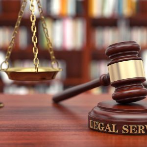 Understanding Government Legal Services