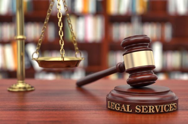 Understanding Government Legal Services