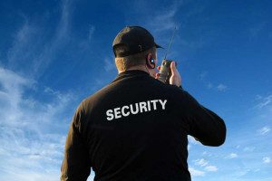 Developing an effective corporate security culture and practices