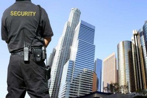 Developing the Skills of Leadership and Supervision for Security Leaders