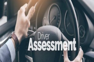 Risk Assessment for Professional Drivers