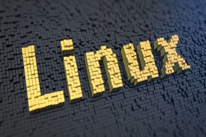 Installing, Configuring & Deploying Linux Servers