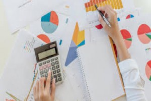 The Hospital Accountant: Skills for Excellent Performance