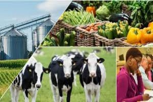 Promoting Entrepreneurship and Agribusiness Development Course