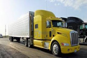 Essentials of Fleet and Transport Management Workshop