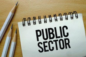 Advanced Financial Management in the Public Sector
