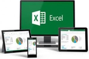 Data Management, Manipulation and Analysis Using Excel