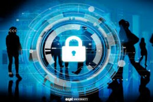 Advanced Information Systems Management Course