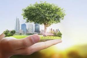 Real Estate Environmental Health and Safety Course