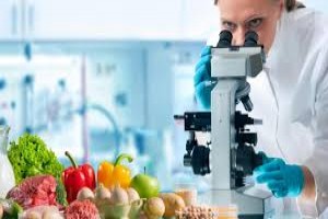Good Manufacturing Practices (GMP) and Hygiene