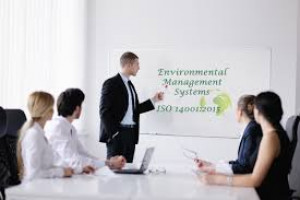 ISO 19001 - Quality Management System (QMS)