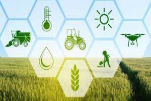 Agricultural Engineering, Seeds and Plants