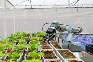 Agricultural Robotics, Advantages and Disadvantages