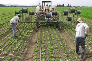 Agriculture Irrigation Technologies
