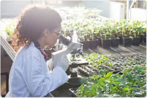 Biotechnology And Agriculture Maintenance