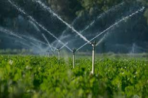 Integrated Water Resources Management