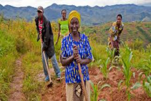 Excellence in Agriculture Development and Management