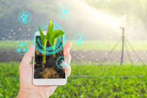 Agriculture, Innovation and Technology for Sustainable Development Course