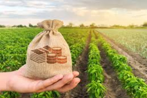 Managing Agricultural Commodity Value Chain for Agricultural Business Course