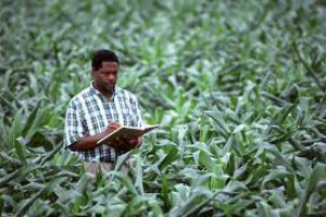 Farm Business Planning and Management
