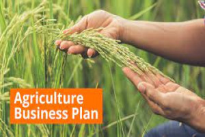 Agricultural Business Planning and Implementation Management