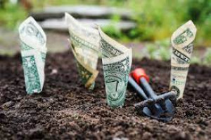 Agricultural Finance Management