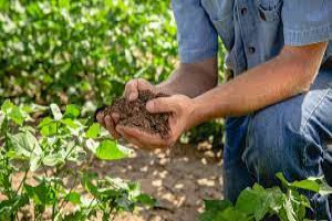 Soil Management Training