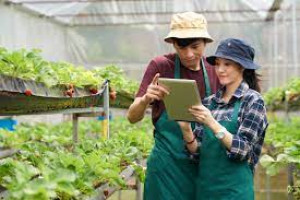 Promoting Entrepreneurship and Agribusiness Development Course