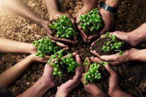 Food Security Analysis Course
