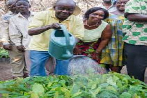 Establishing and Strengthening Farmer Organizations