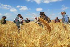 Livelihood Assessment and Analysis