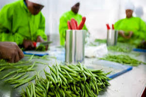 Agricultural Value Chain Development and Market Administration